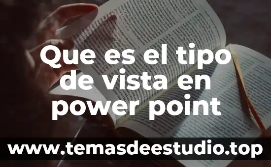 Que es una idea desde el punto de vista empresarial 8 Que es el tipo de vista en power point