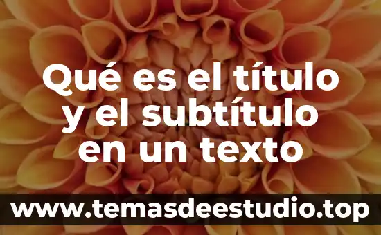 Que es himpervinculo de texto 8 Qué es el título y el subtítulo en un texto