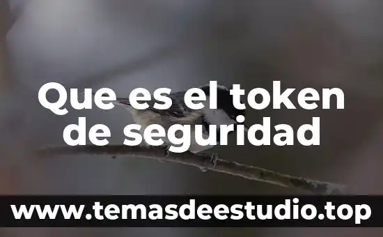 Que es el token de seguridad