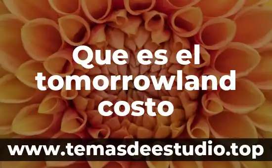 Que es el tomorrowland costo