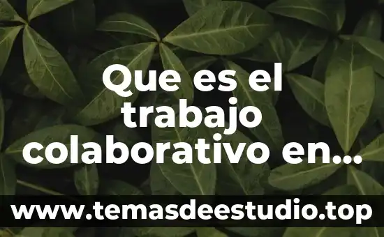 Que es el trabajo colaborativo en entornos visules
