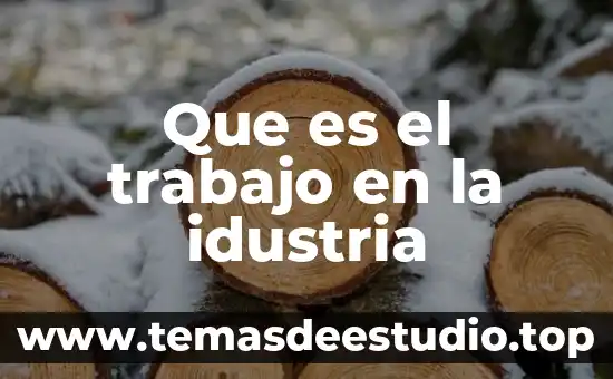 Que es un ente en el derecho 6 Que es el trabajo en la idustria
