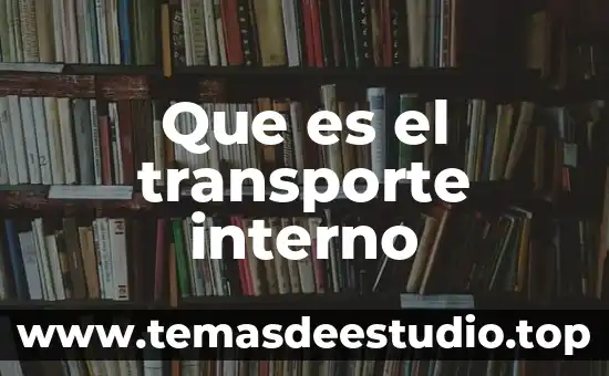 Qué es un obstáculo interno en el ser humano 8 Que es el transporte interno