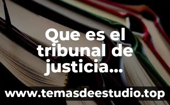 Que es el significado hector 4 Que es el tribunal de justicia internacional