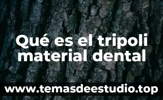 Qué es la justicia formal material y social 7 Qué es el tripoli material dental