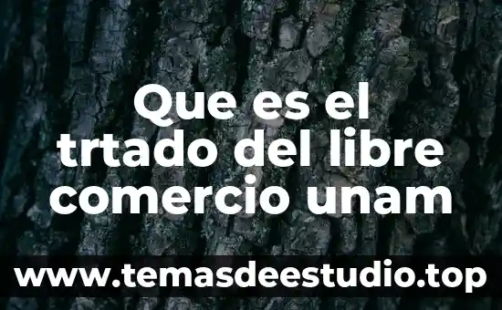 Que es el principio pro persona unam 4 Que es el trtado del libre comercio unam