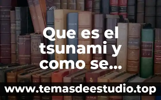Que es el private_key.pepk que genera android studio 5 Que es el tsunami y como se genera