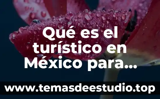 Que es la firma electronica avanzada en mexico 7 Qué es el turístico en México para niños