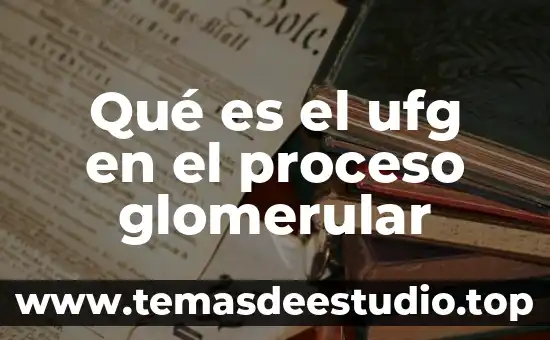Que es el proceso isobarico 3 Qué es el ufg en el proceso glomerular