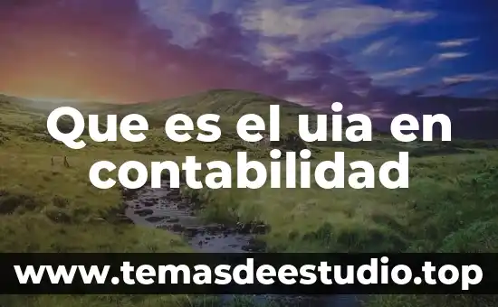 Qué es el movimiento acreedor en contabilidad 3 Que es el uia en contabilidad