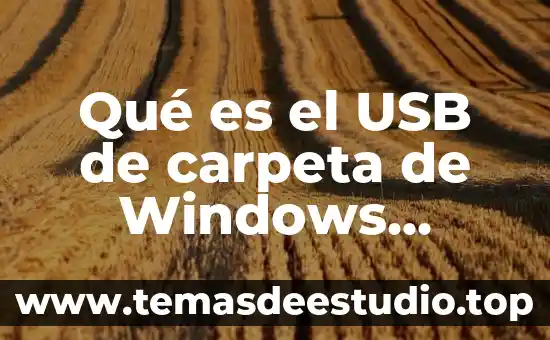 Qué es el USB de carpeta de Windows definición