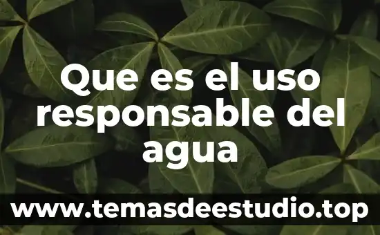 Agua de coco con piña para que es buena 4 Que es el uso responsable del agua