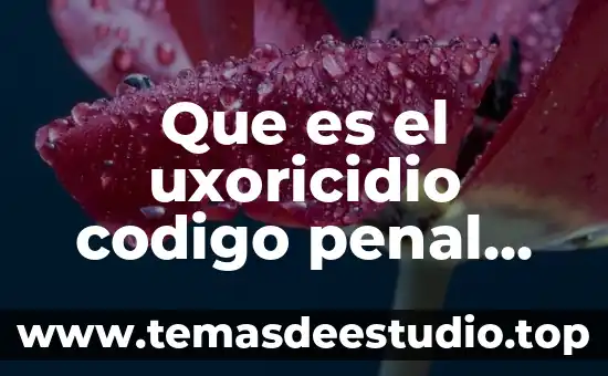 Que es el uxoricidio codigo penal de coahuila 2017