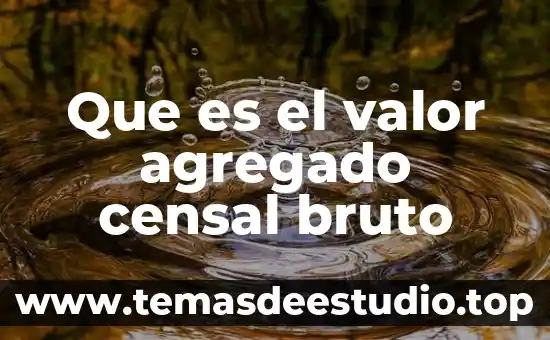 Que es ser bruto 6 Que es el valor agregado censal bruto