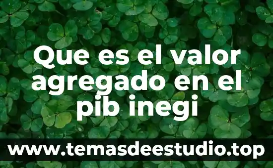 Que es el valor agregado en el pib inegi