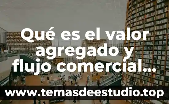 Que es ser bruto 8 Qué es el valor agregado y flujo comercial bruto
