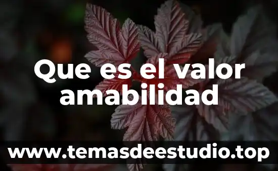 Qué es un ambiente confuso 4 Que es el valor amabilidad