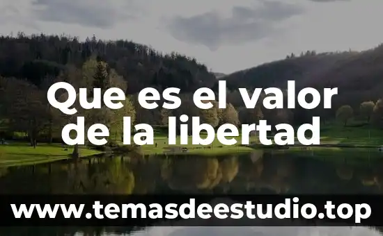 Que es valor de equilibrio 3 Que es el valor de la libertad