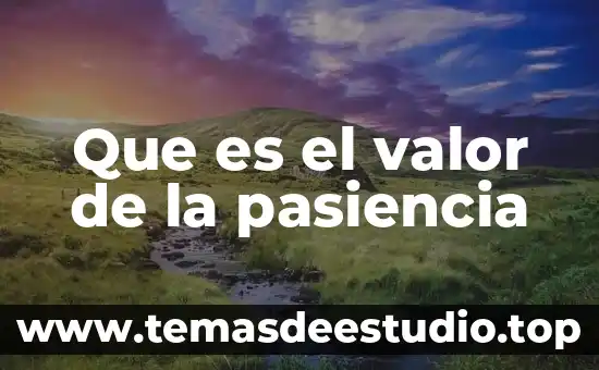 Qué es venta o traspaso de un negocio 8 Que es el valor de la pasiencia