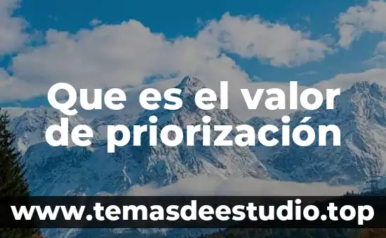 Consiste valor que es la justicia 8 Que es el valor de priorización