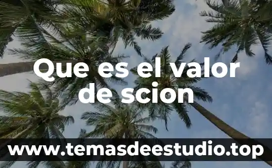 Consiste valor que es la justicia 3 Que es el valor de scion