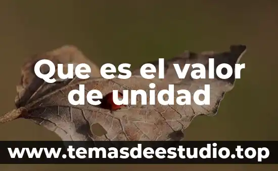 Que es unidad valores 7 Que es el valor de unidad