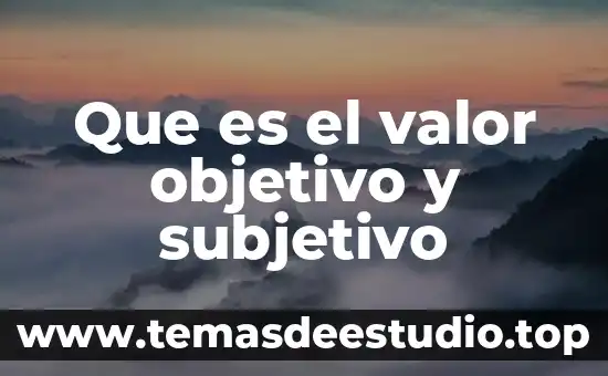 Que es ser no subjetivo 3 Que es el valor objetivo y subjetivo
