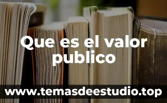 Qué es un software de dominio público 8 Que es el valor publico