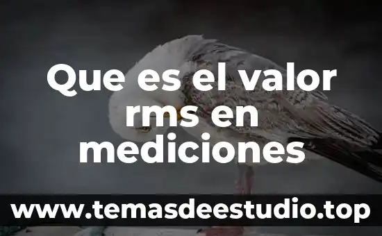 Consiste valor que es la justicia 4 Que es el valor rms en mediciones