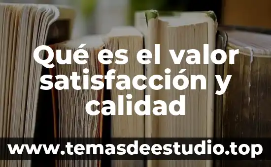 Que es valor y que significa 4 Qué es el valor satisfacción y calidad