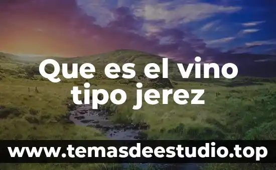 Que es el tipo de conocimiento axiomatico 6 Que es el vino tipo jerez