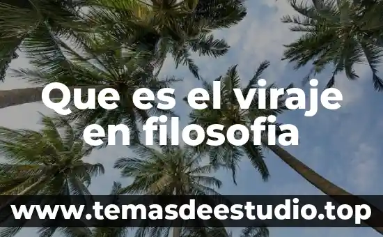 Que es el viraje en filosofia
