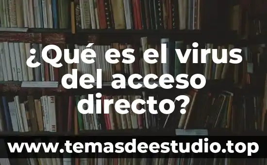 Que es mas peligroso los virus 8 ¿Qué es el virus del acceso directo?