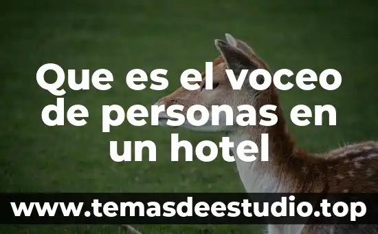Que es la direccion de personas 3 Que es el voceo de personas en un hotel