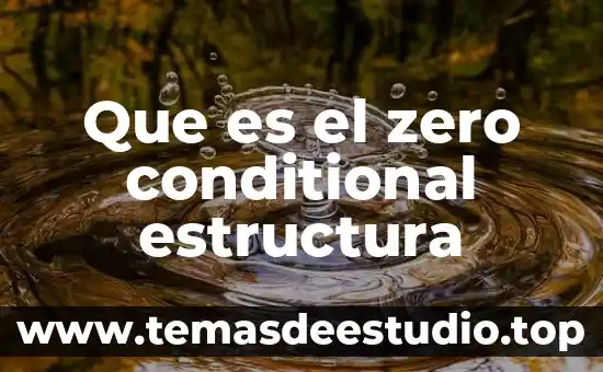 Que es un objetivo particular en una tesis 4 Que es el zero conditional estructura