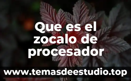 Procesador 8088 que es 4 Que es el zocalo de procesador