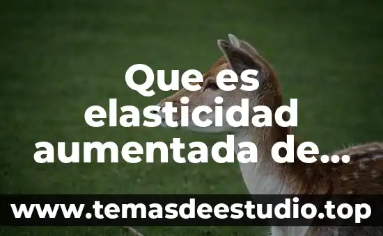 Que es la justicia en la fuente de yahoo significado 8 Que es elasticidad aumentada de los pulgares yahoo