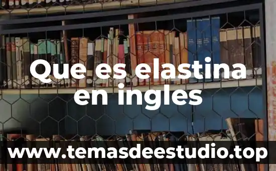¿Qué es significa greedy coloring en inglés a español? 6 Que es elastina en ingles
