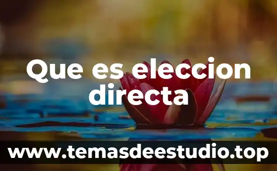 Que es eleccion directa