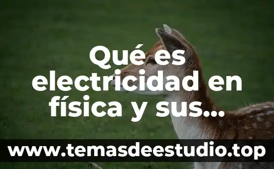 Que es electricidad estatica en manejo de computo 3 Qué es electricidad en física y sus fórmulas