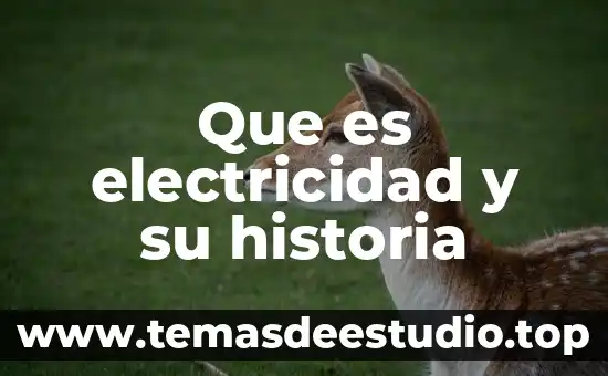 Que es electricidad y su historia