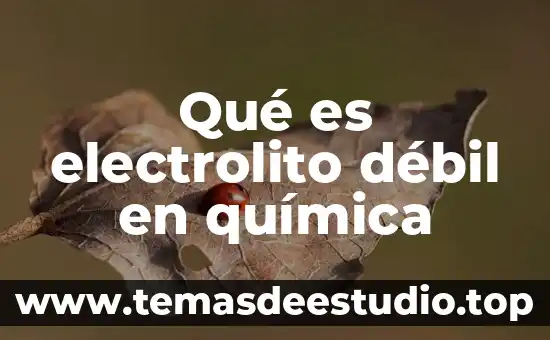 Kcio3 que es quimica 8 Qué es electrolito débil en química
