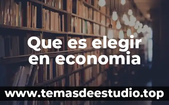 Que es elegir y ser elegido 5 Que es elegir en economia