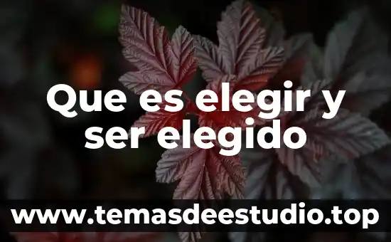 Por que es tan importante un beso para elegir pareja 6 Que es elegir y ser elegido