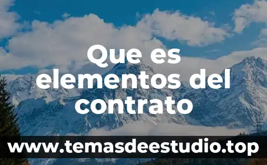 Que es elementos del contrato