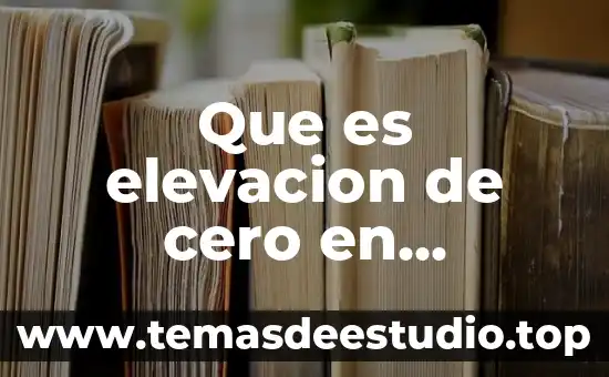 Que es definición ejemplos 4 Que es elevacion de cero en instrumentacion ejemplos