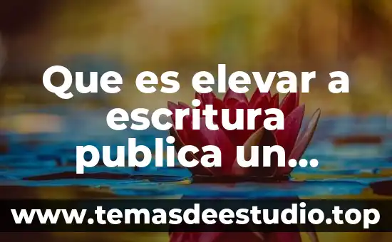 Qué es la identidad pública 8 Que es elevar a escritura publica un poder