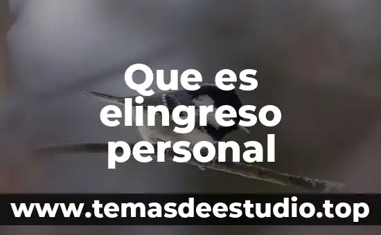 Que es suministro de personal 5 Que es elingreso personal