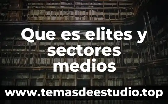 Que es un movimiento en transito 8 Que es elites y sectores medios