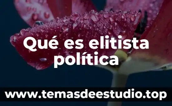 Que es el significado hector 7 Qué es elitista política